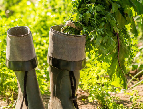 LEASING LAND: A PATH TO LEGACY, GENERATIONAL WEALTH, AND COMMUNITY EMPOWERMENT